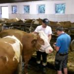 20160705_uebung-tierrettung