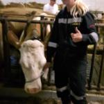20160705_uebung-tierrettung