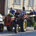 20190607 Maibaum zurueck