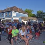 20190607 Maibaum zurueck