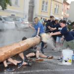 20190607 Maibaum zurueck