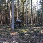 20200405 Waldbrand Burgholz